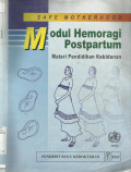 Safe Motherhood; Modul Hemoragi Postpartum; Materi Pendidikan kebidanan  ( Safe motherhood : Postpartum haemorrhage module education material for teachers of midwifery )