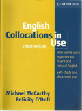 English Collocations in Use (intermediate) : How Word Work Together for Fluent and Natural English