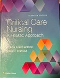Critical Care Nursing A Holistic Approach
