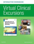 Interactive Workbook Virtual Clinical Excursions Introduction To Medical-Surgical Nursing