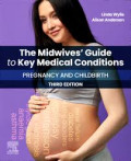 The Midwives' Guide to Key Medical Conditions Pregnancy And Childbirth